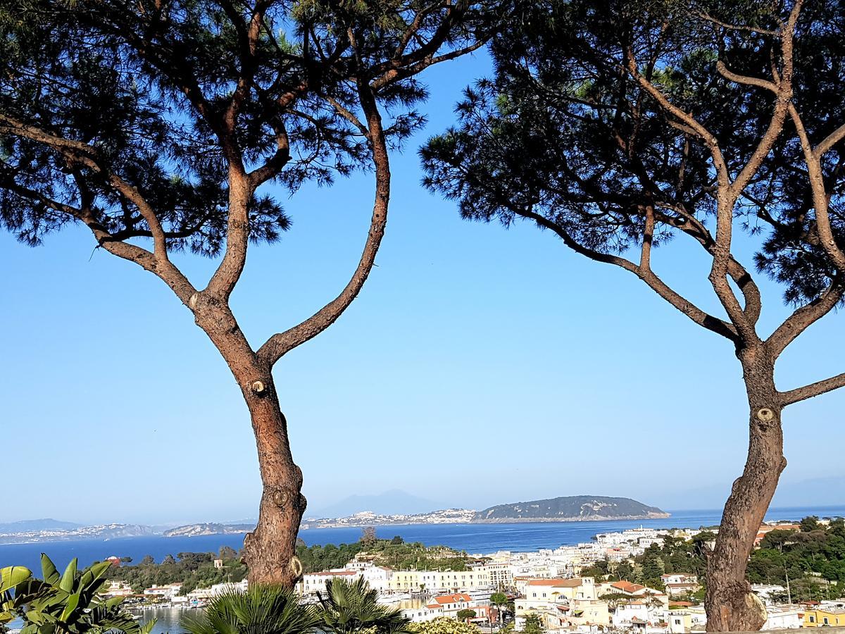 Ischia Dream Visions Apartment Exterior photo