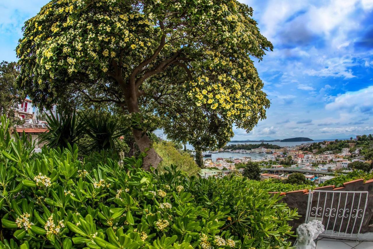 Ischia Dream Visions Apartment Exterior photo