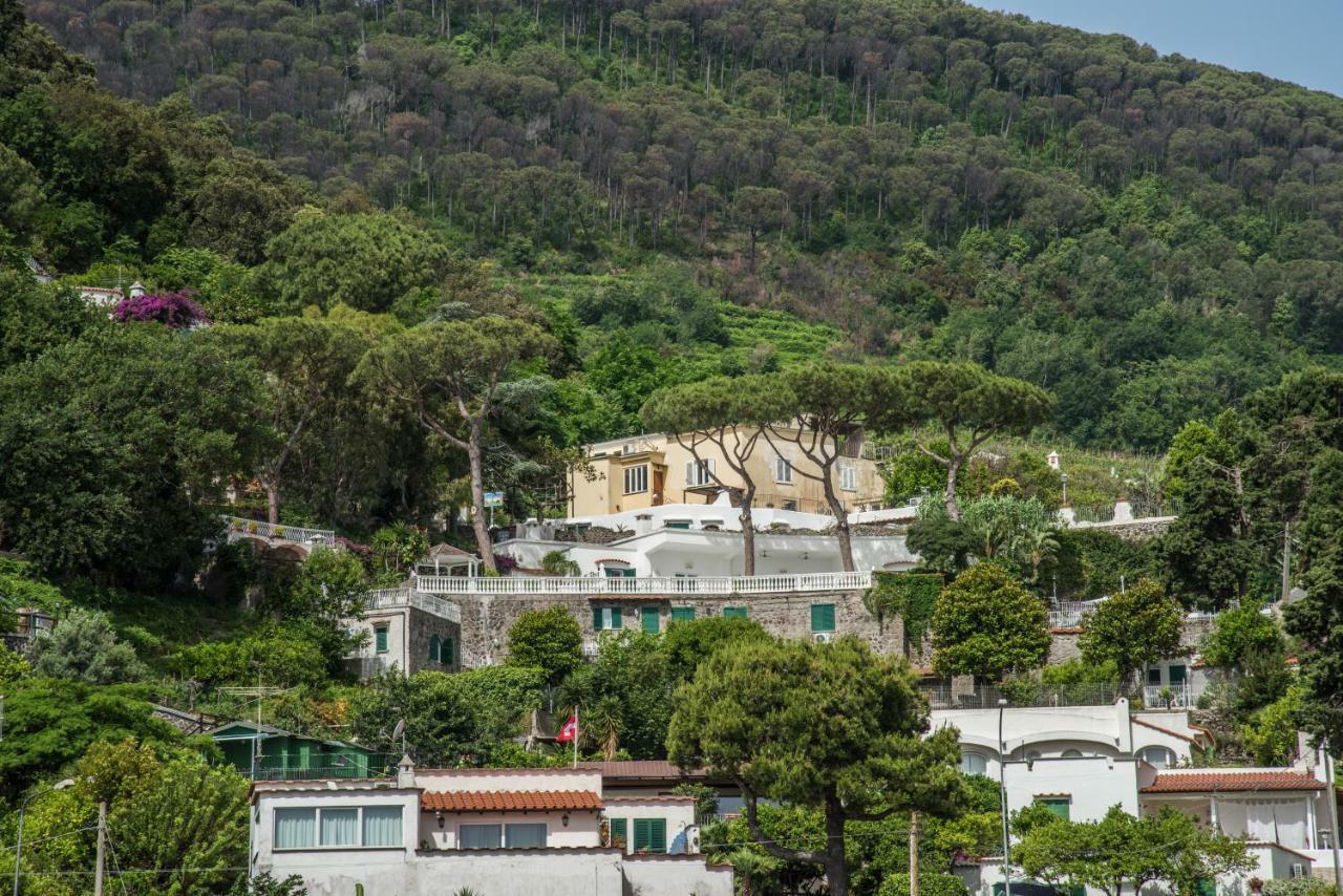 Ischia Dream Visions Apartment Exterior photo